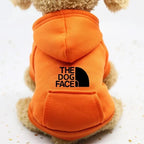 Close-up of autumn winter pet clothing with denim pocket detail and sporty style