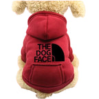 Dog modeling blue denim sweater with athletic design for cold weather pet wear