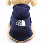 Dog wearing blue denim pocket sweater with sporty design for autumn and winter